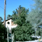 Greenfield Citrus Nursery