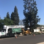 Maldonado Brothers Landscape & Tree Service