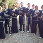 Mariachi Aguila Real