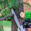 Pine Grove Tree Service gallery