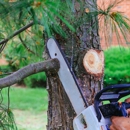 Pine Grove Tree Service - Tree Service