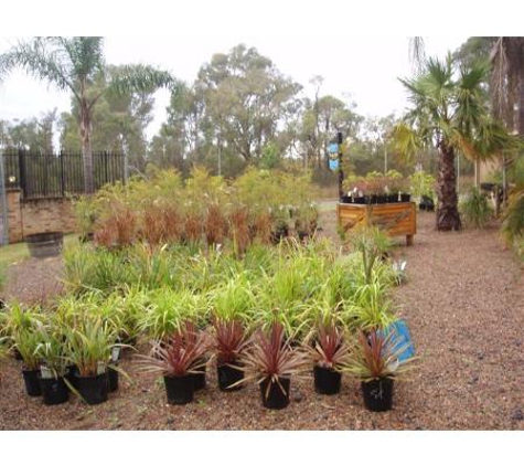 Raygal Landscapes & Nursery Supplies - Cranebrook, NSW