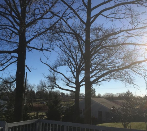 Artisan Arborist Tree Care - Mount Holly Springs, PA