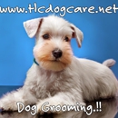 TLC Dog Care - Pet Services