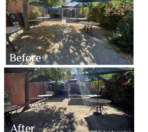 RG Landscaping & Services - San Miguel, CA. Yard cleanup