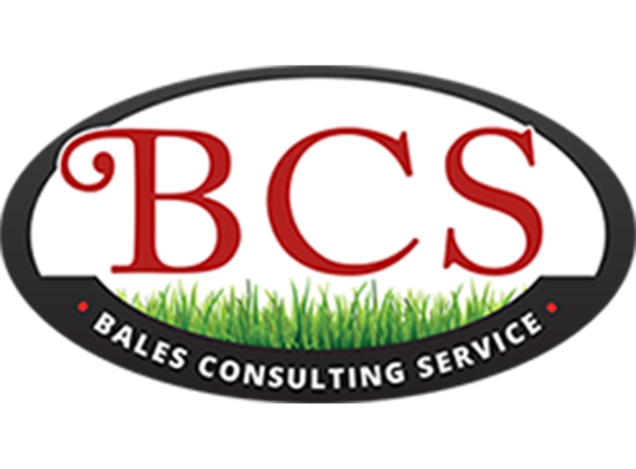 BCS Boutique - Michigantown, IN