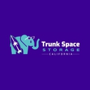 Trunk Space Storage