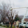 Skipworth Tree Service, L.L.C. gallery