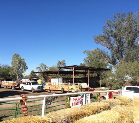 M. WHITE STABLES - Tucson, AZ