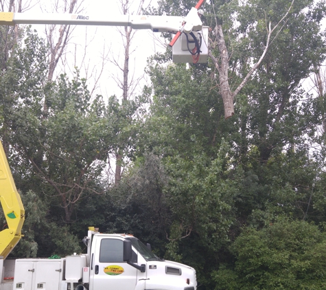 Mr. Canopy Tree Care - Fargo, ND