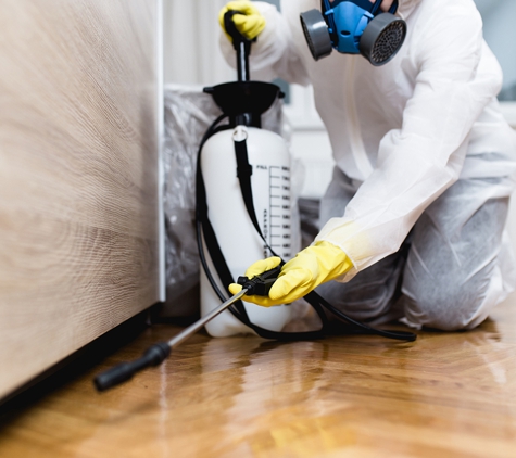 Affordable Pest Control - Nowra, NSW