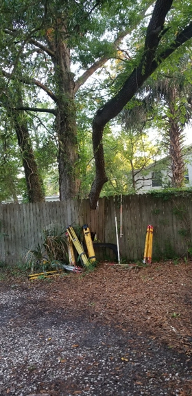 Greenwise Tree Services - Jacksonville, FL. tree through fence before