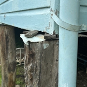 Gallery Image Number 8