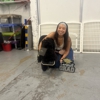 Bauser's Pet Training gallery