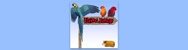 Living Jungle - Pet Shops