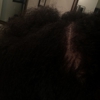 Francin's African Hair Braiding gallery