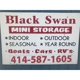 Campbellsport-Black Swan Storage