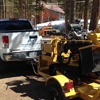 A1-Stump Grinding gallery