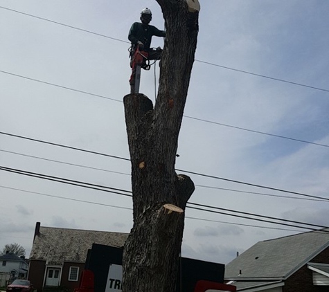 Zambo's Tree Service - Somerset, PA