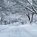 key lawn service - Snow Removal Service