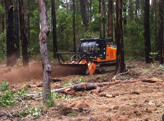 Arbpro Tree Specialists - Moonee Beach, NSW