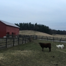 Kinderhook Farm - Farms