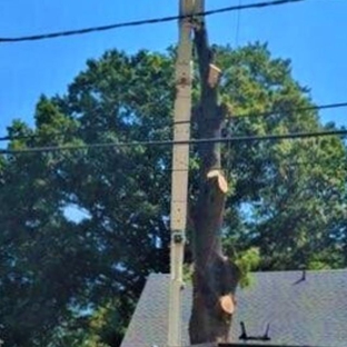 Tree & Land Masters, LLC - Berlin, NJ