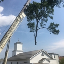 Extreme Tree & Landscape - Tree Service