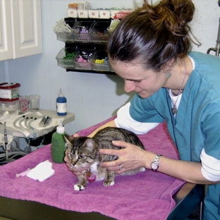 Blue Point-Bayport Animal Hospital - Bayport, NY