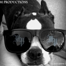 Marm Productions - Video Equipment & Supplies