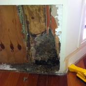 Gallery Image Number 7