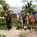 Happy Pony World - Horse Boarding