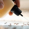 Get'm Pest Control & Exterminator in NJ gallery