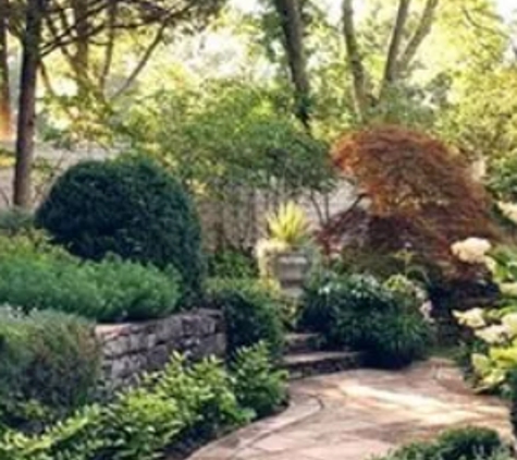 Druid Tree Service Inc. - Nashville, TN