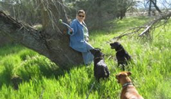 Black Dog Walking and Animal Care - Antioch, CA