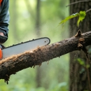 Elite Tree Removal - Tree Service