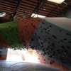 The Wall Climbing Gym gallery