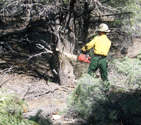 Firestorm Wildland Fire Suppression Inc - Chico, CA