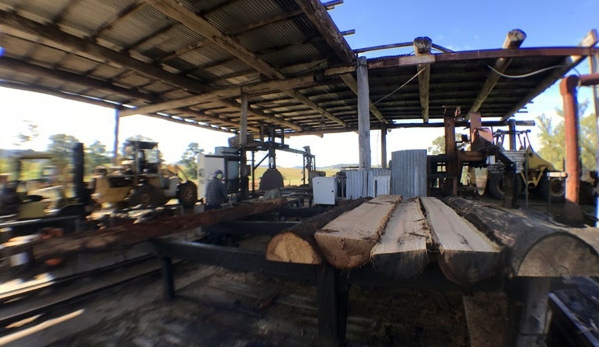 Long Flat Timbers - Yarras, NSW