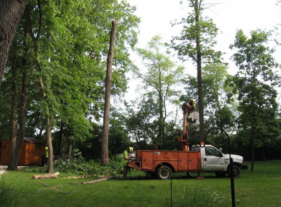 AAA Tree Service - Granville, IL