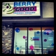 Berry Good Frozen Yogurt