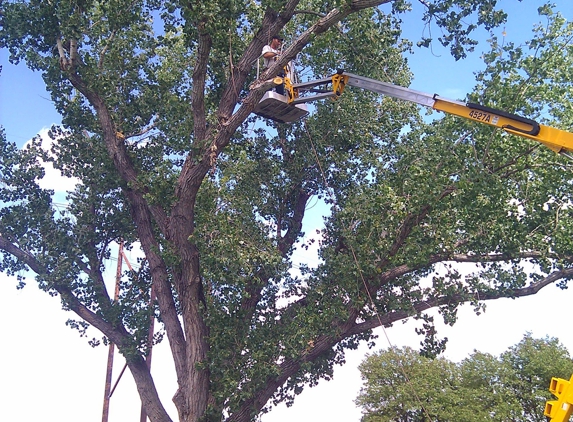 Moore's Tree Service - Wichita, KS