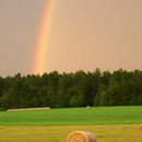 Mile Creek Hay - Hay