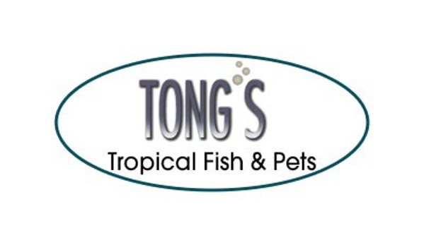 Tong's Tropical Fish & Pets - Fountain Valley, CA