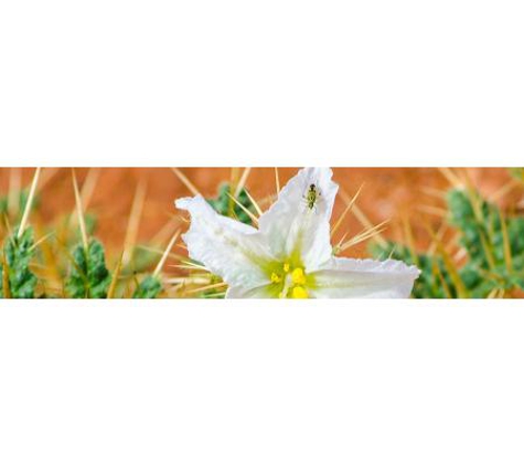 Goldfields Pest Control - Kalgoorlie, WA