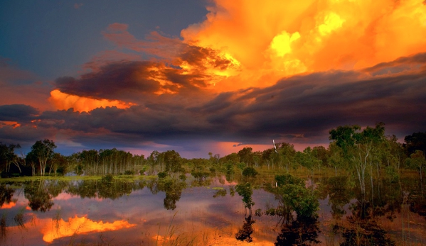 Territory Business Sales - Darwin City, NT