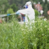 Get'm Pest Control & Exterminator gallery