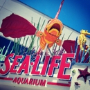 SEA LIFE Carlsbad Aquarium - Amusement Places & Arcades