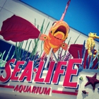 SEA LIFE Aquarium