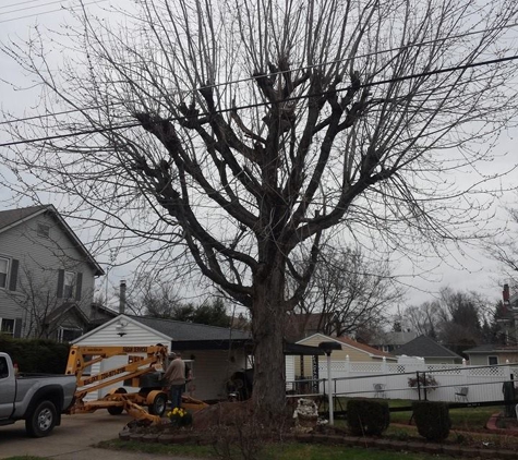 Fagan Tree Service - Volant, PA